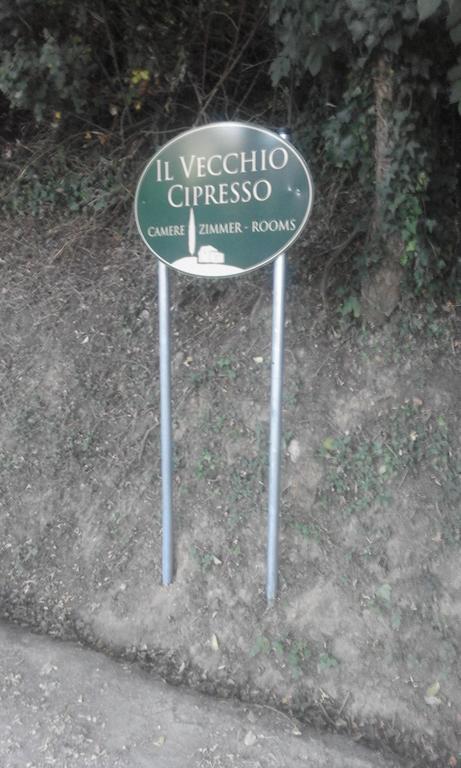 Il Vecchio Cipresso Apartment San Gimignano Bagian luar foto