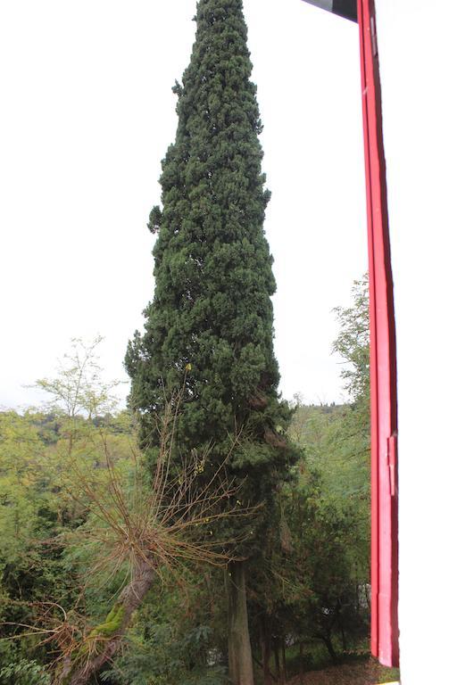 Il Vecchio Cipresso Apartment San Gimignano Bagian luar foto